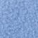 Blue Aster